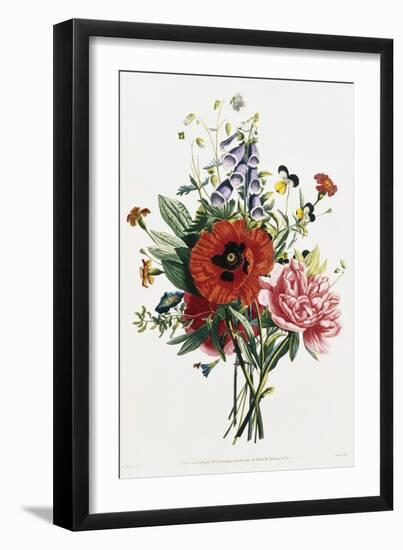 Bouquet of Foxglove, Poppy, and Peony-Jean Louis Prevost-Framed Giclee Print