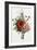 Bouquet of Foxglove, Poppy, and Peony-Jean Louis Prevost-Framed Giclee Print