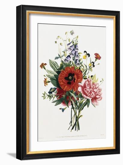 Bouquet of Foxglove, Poppy, and Peony-Jean Louis Prevost-Framed Giclee Print