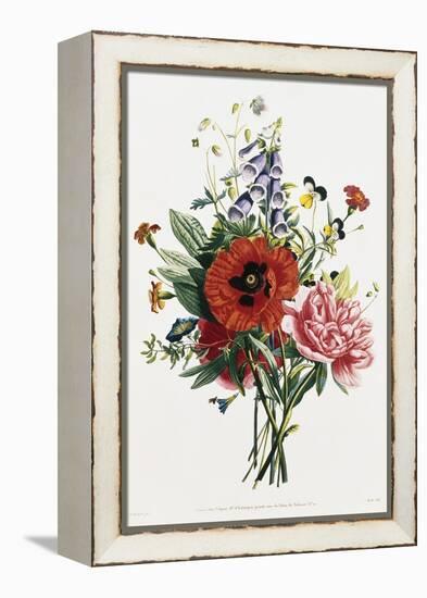 Bouquet of Foxglove, Poppy, and Peony-Jean Louis Prevost-Framed Premier Image Canvas