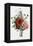 Bouquet of Foxglove, Poppy, and Peony-Jean Louis Prevost-Framed Premier Image Canvas