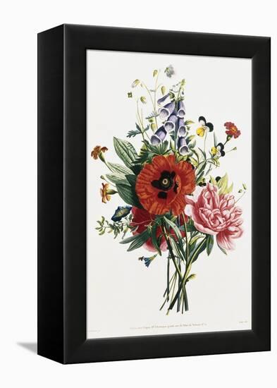 Bouquet of Foxglove, Poppy, and Peony-Jean Louis Prevost-Framed Premier Image Canvas