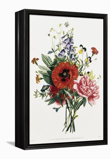 Bouquet of Foxglove, Poppy, and Peony-Jean Louis Prevost-Framed Premier Image Canvas