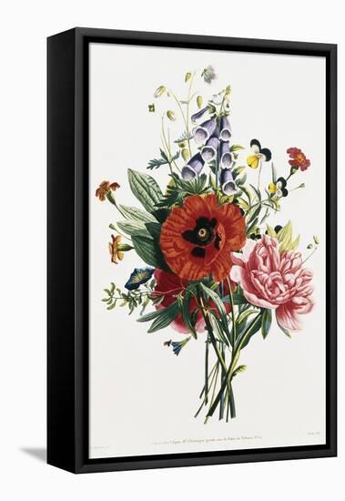 Bouquet of Foxglove, Poppy, and Peony-Jean Louis Prevost-Framed Premier Image Canvas