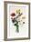 Bouquet of Narcissi and Anemone-Jean Louis Prevost-Framed Giclee Print