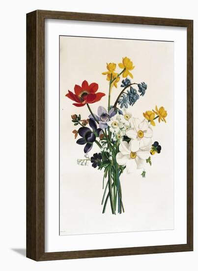 Bouquet of Narcissi and Anemone-Jean Louis Prevost-Framed Giclee Print