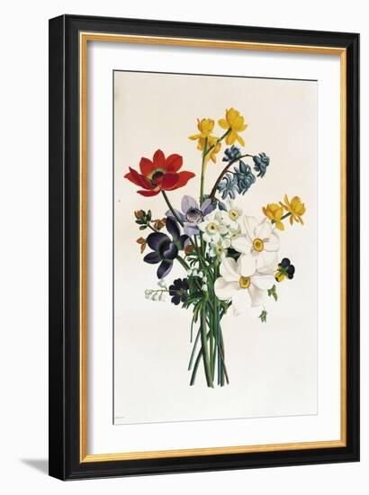 Bouquet of Narcissi and Anemone-Jean Louis Prevost-Framed Giclee Print