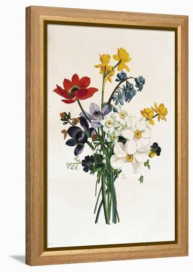 Bouquet of Narcissi and Anemone-Jean Louis Prevost-Framed Premier Image Canvas