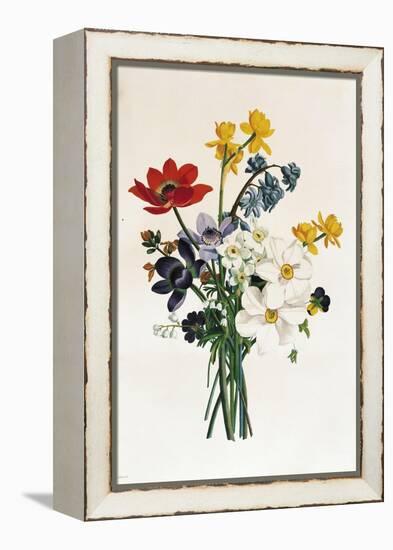 Bouquet of Narcissi and Anemone-Jean Louis Prevost-Framed Premier Image Canvas