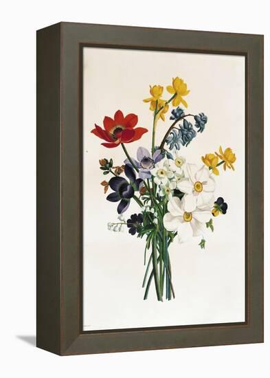 Bouquet of Narcissi and Anemone-Jean Louis Prevost-Framed Premier Image Canvas