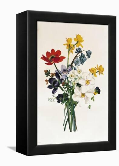 Bouquet of Narcissi and Anemone-Jean Louis Prevost-Framed Premier Image Canvas