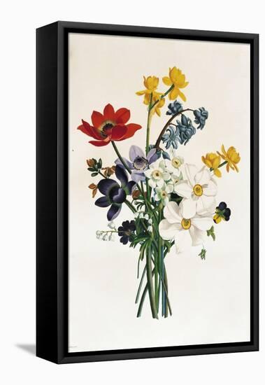 Bouquet of Narcissi and Anemone-Jean Louis Prevost-Framed Premier Image Canvas