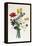 Bouquet of Narcissi and Anemone-Jean Louis Prevost-Framed Premier Image Canvas