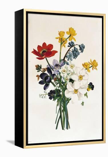 Bouquet of Narcissi and Anemone-Jean Louis Prevost-Framed Premier Image Canvas