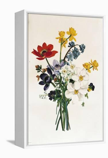 Bouquet of Narcissi and Anemone-Jean Louis Prevost-Framed Premier Image Canvas