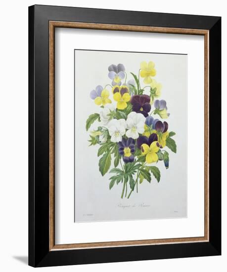 Bouquet of Pansies, Engraved by Victor, from 'Choix Des Plus Belles Fleurs', 1827-Pierre-Joseph Redouté-Framed Giclee Print