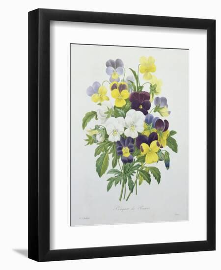 Bouquet of Pansies, Engraved by Victor, from 'Choix Des Plus Belles Fleurs', 1827-Pierre-Joseph Redouté-Framed Giclee Print