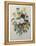 Bouquet of Pansies-Pierre-Joseph Redoute-Framed Stretched Canvas