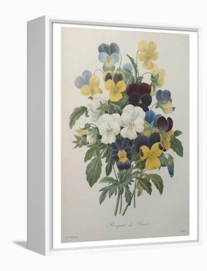 Bouquet of Pansies-Pierre-Joseph Redoute-Framed Stretched Canvas