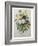 Bouquet of Pansies-Pierre-Joseph Redoute-Framed Art Print