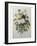 Bouquet of Pansies-Pierre-Joseph Redoute-Framed Art Print