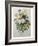 Bouquet of Pansies-Pierre-Joseph Redoute-Framed Art Print