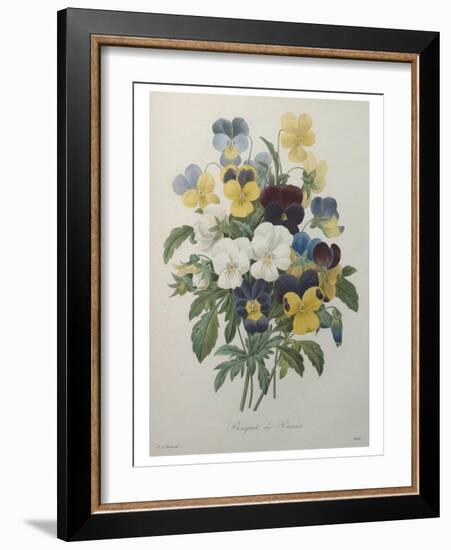 Bouquet of Pansies-Pierre-Joseph Redoute-Framed Art Print