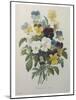 Bouquet of Pansies-Pierre-Joseph Redoute-Mounted Art Print