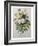 Bouquet of Pansies-Pierre-Joseph Redoute-Framed Art Print