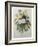 Bouquet of Pansies-Pierre-Joseph Redoute-Framed Art Print