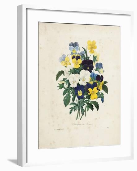 Bouquet of Pansies-Pierre-Joseph Redouté-Framed Giclee Print