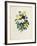 Bouquet of Pansies-Pierre-Joseph Redouté-Framed Giclee Print