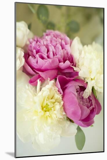 Bouquet of Peonies-Karyn Millet-Mounted Photographic Print