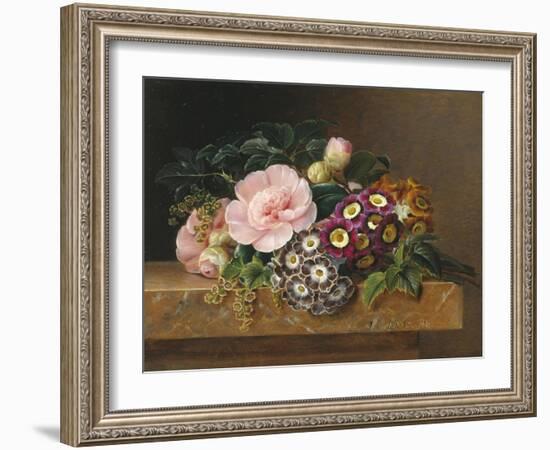 Bouquet of Pink Camellias and Primula on Marble Ledge-Johan Laurentz Jensen-Framed Giclee Print