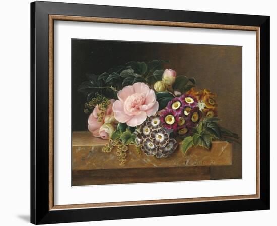 Bouquet of Pink Camellias and Primula on Marble Ledge-Johan Laurentz Jensen-Framed Giclee Print