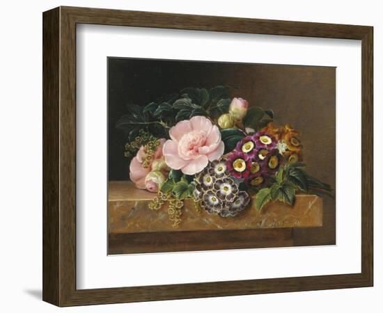 Bouquet of Pink Camellias and Primula on Marble Ledge-Johan Laurentz Jensen-Framed Giclee Print