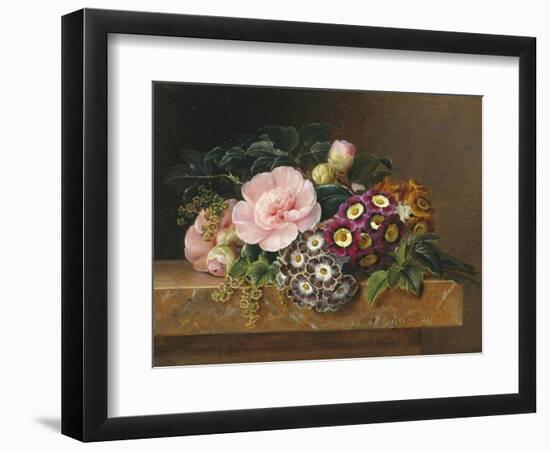 Bouquet of Pink Camellias and Primula on Marble Ledge-Johan Laurentz Jensen-Framed Giclee Print