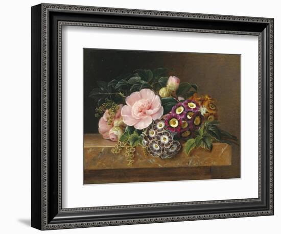 Bouquet of Pink Camellias and Primula on Marble Ledge-Johan Laurentz Jensen-Framed Giclee Print