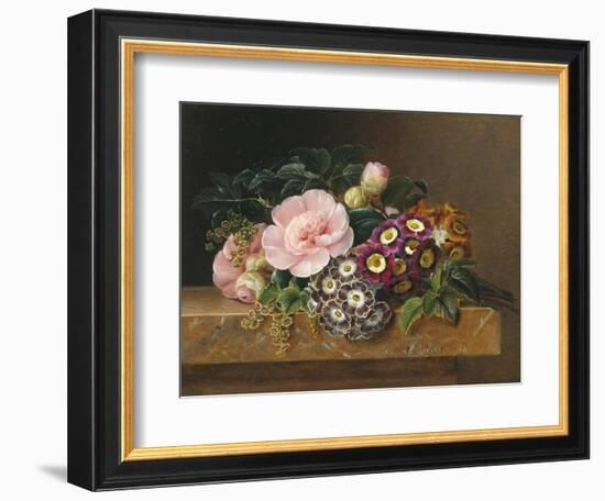 Bouquet of Pink Camellias and Primula on Marble Ledge-Johan Laurentz Jensen-Framed Giclee Print