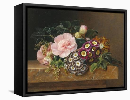 Bouquet of Pink Camellias and Primula on Marble Ledge-Johan Laurentz Jensen-Framed Premier Image Canvas