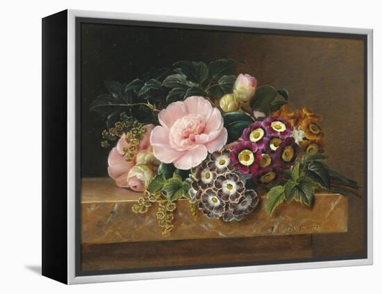 Bouquet of Pink Camellias and Primula on Marble Ledge-Johan Laurentz Jensen-Framed Premier Image Canvas