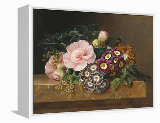 Bouquet of Pink Camellias and Primula on Marble Ledge-Johan Laurentz Jensen-Framed Premier Image Canvas