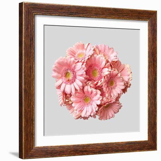 Bouquet of Pink Gerberas-artjazz-Framed Photographic Print