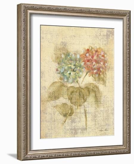 Bouquet of Pink Hydrangea-Cheri Blum-Framed Art Print