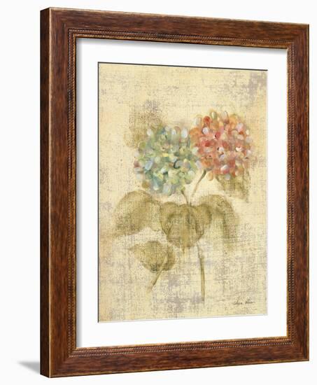 Bouquet of Pink Hydrangea-Cheri Blum-Framed Art Print