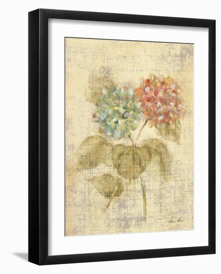 Bouquet of Pink Hydrangea-Cheri Blum-Framed Art Print