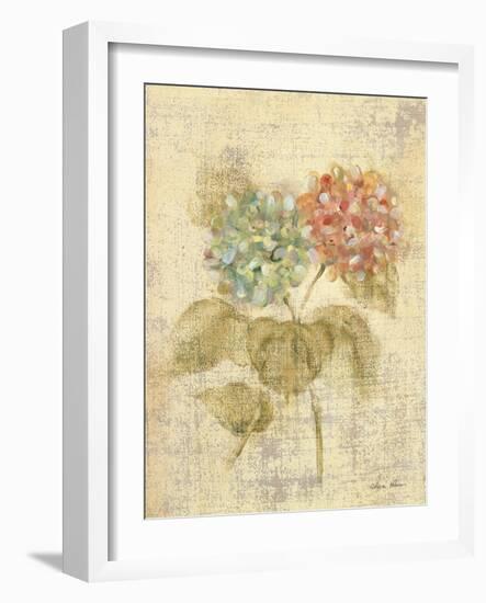 Bouquet of Pink Hydrangea-Cheri Blum-Framed Art Print