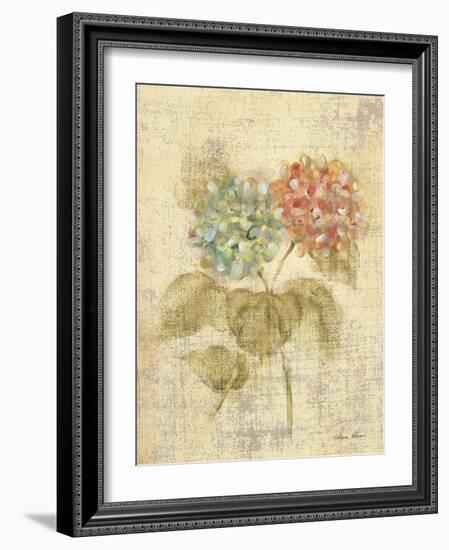 Bouquet of Pink Hydrangea-Cheri Blum-Framed Art Print