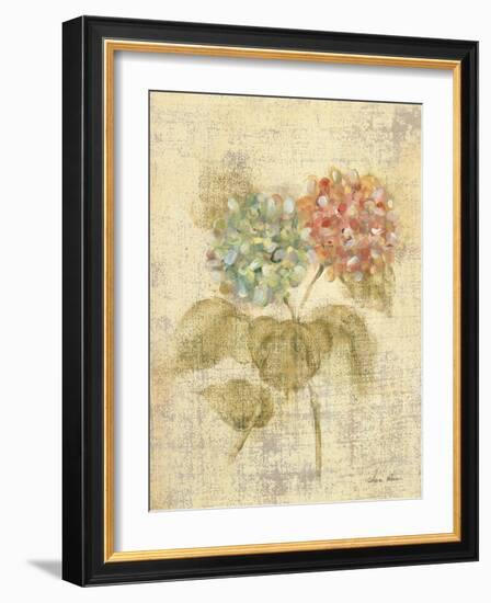 Bouquet of Pink Hydrangea-Cheri Blum-Framed Art Print
