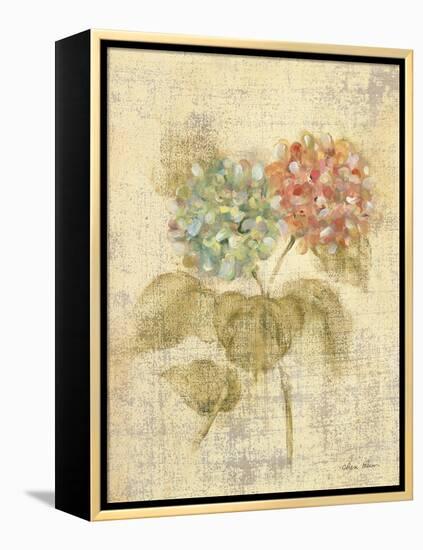 Bouquet of Pink Hydrangea-Cheri Blum-Framed Stretched Canvas